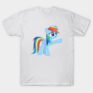 Rainbow Dash chooses Ponyville T-Shirt